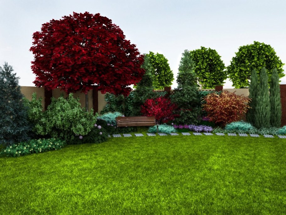 Клен Гиннала 3д