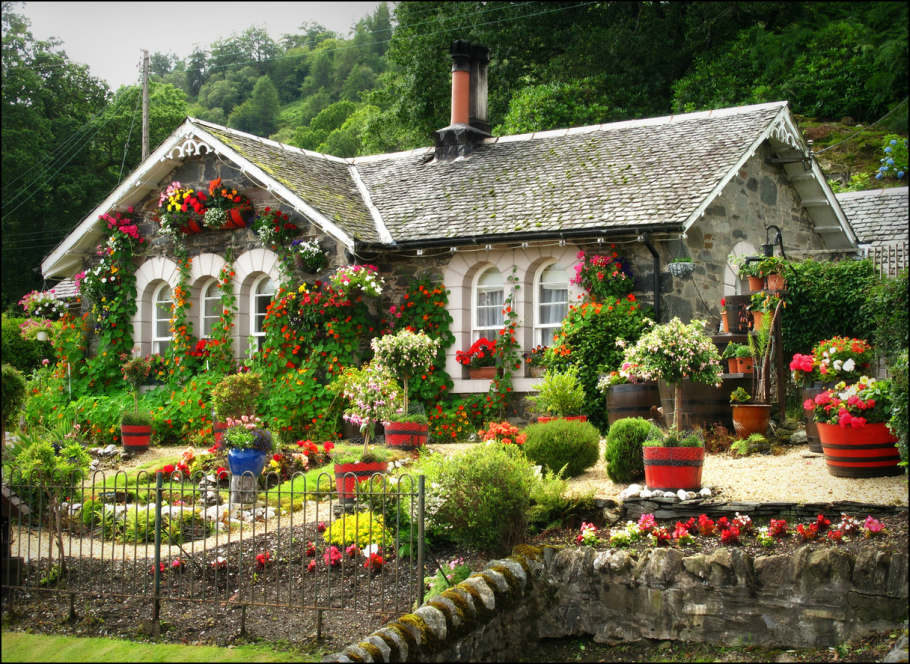 Наиль Купер ландшафтный дизайнер