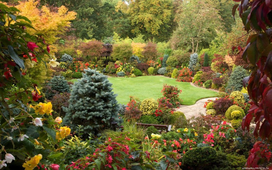 Оранжерея на участке