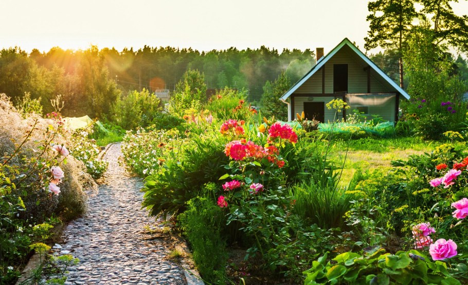 Красивые приусадебные участки