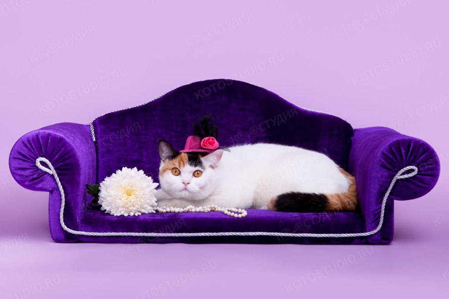 Подушка с кошками икеа