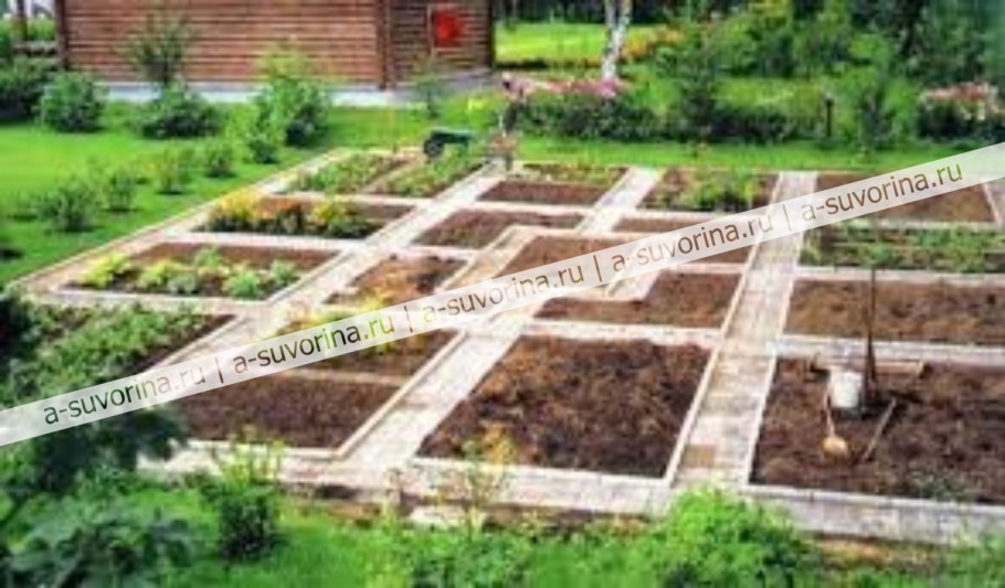 Митлайдеровские грядки для клубники