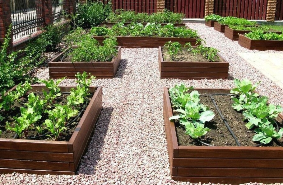 Огород в регулярном стиле