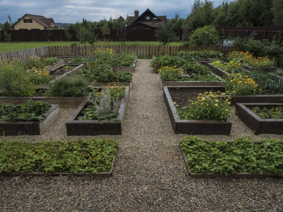 Грядки красивые на участке