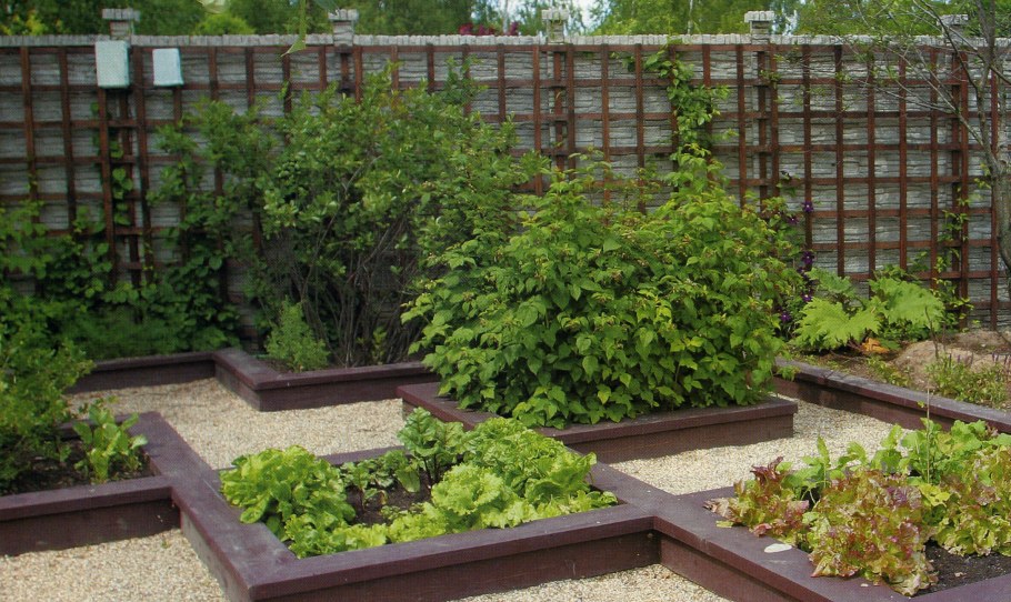 Грядка Хольстера