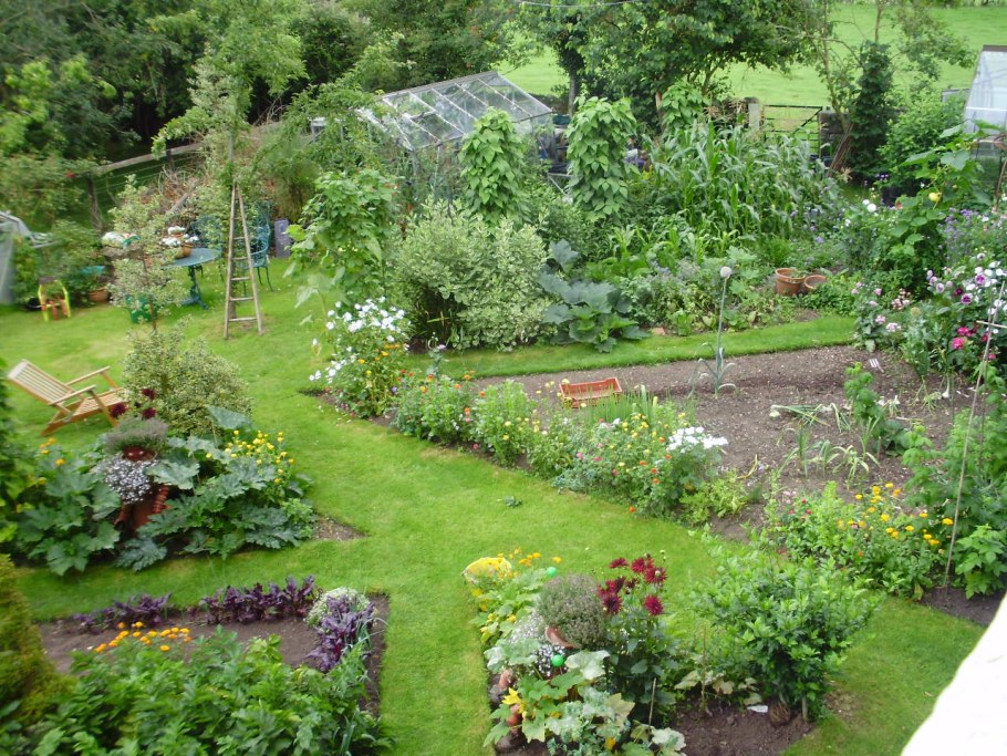 Подмосковные грядки