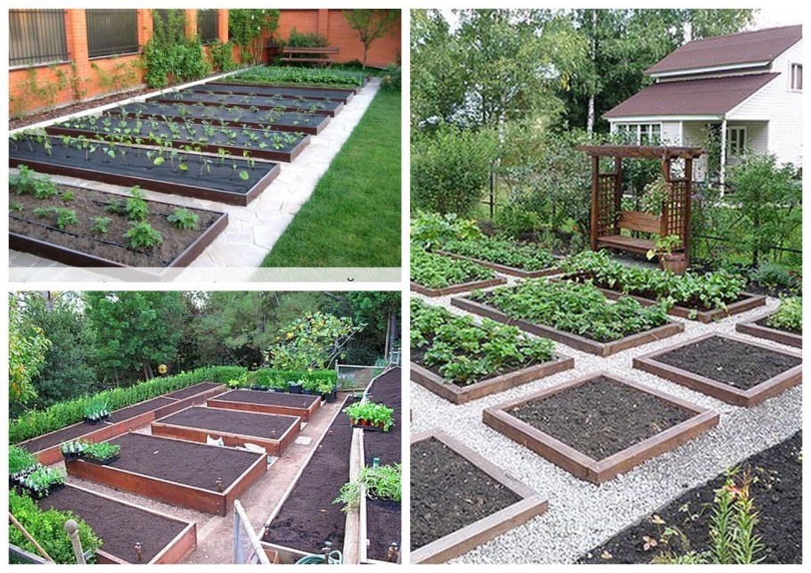 Красивое расположение грядок на даче