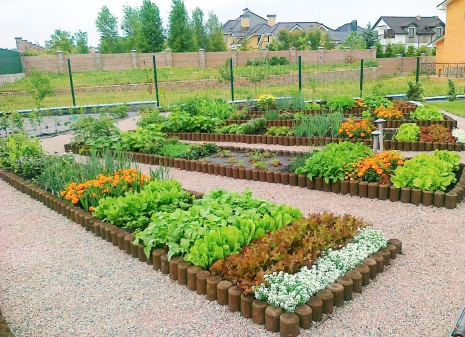 Красивые грядки по Митлайдеру