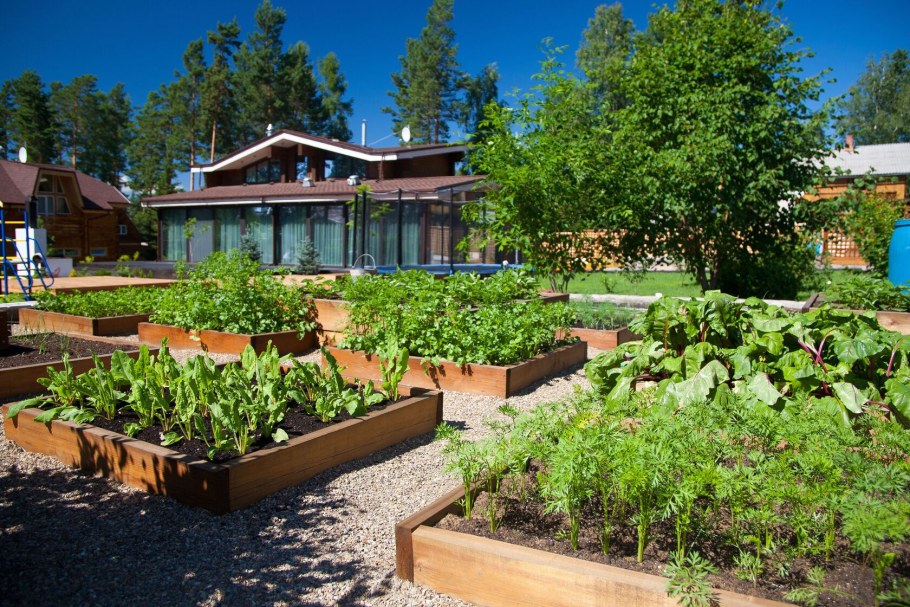 Огород в ландшафте участка