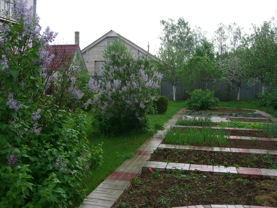 Дачный участок 6 соток