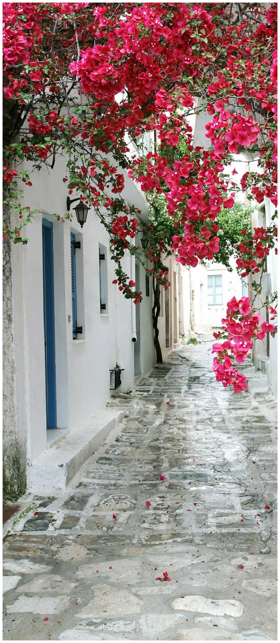 Фотообои узкие вертикальные