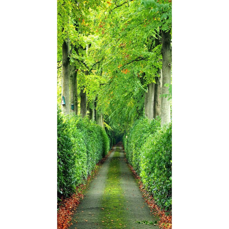 Фотообои узкие вертикальные