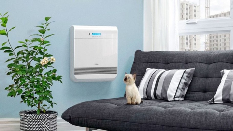 Свежесть в доме