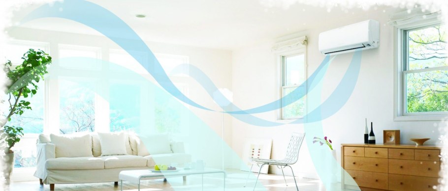 Бюро фитодизайна фикус