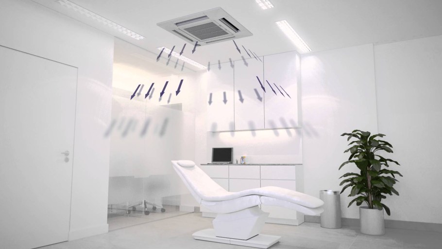 Бюро фитодизайна фикус