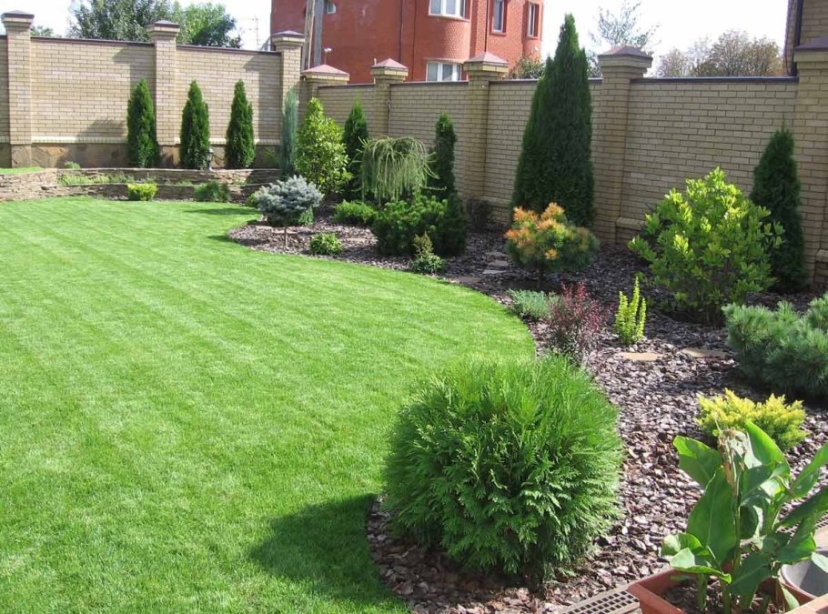 Плодовые деревья вдоль забора