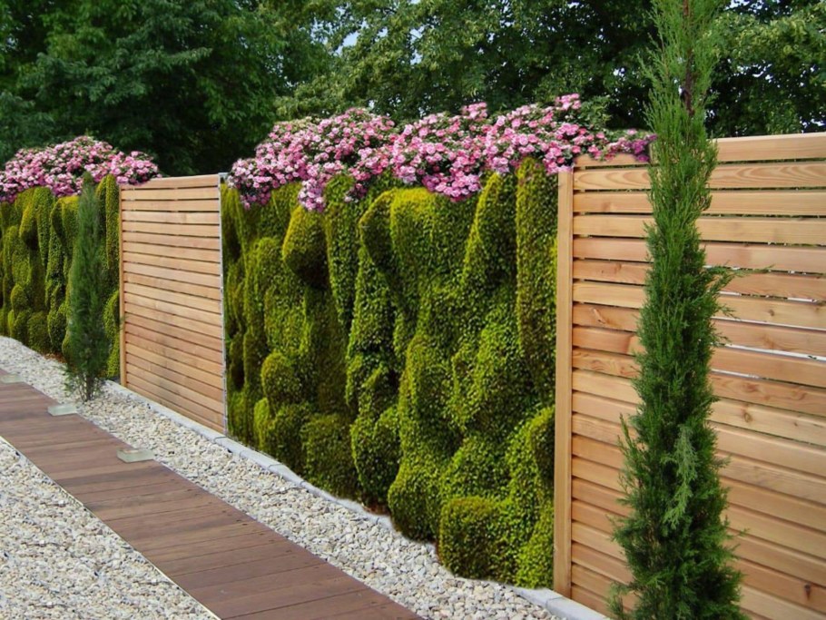 Клумба с папоротником и хостой