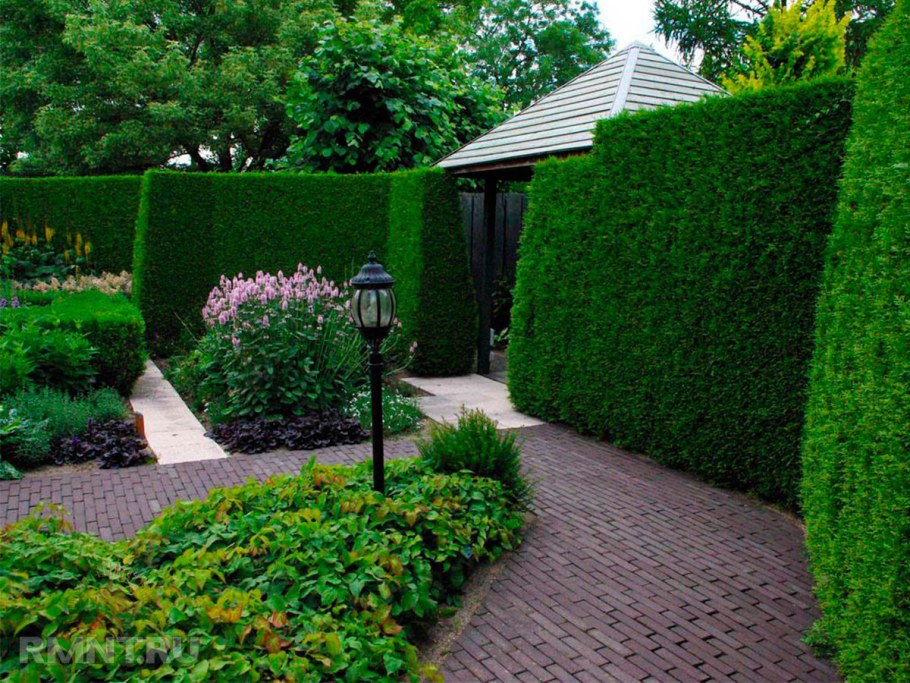 Клумба вдоль забора