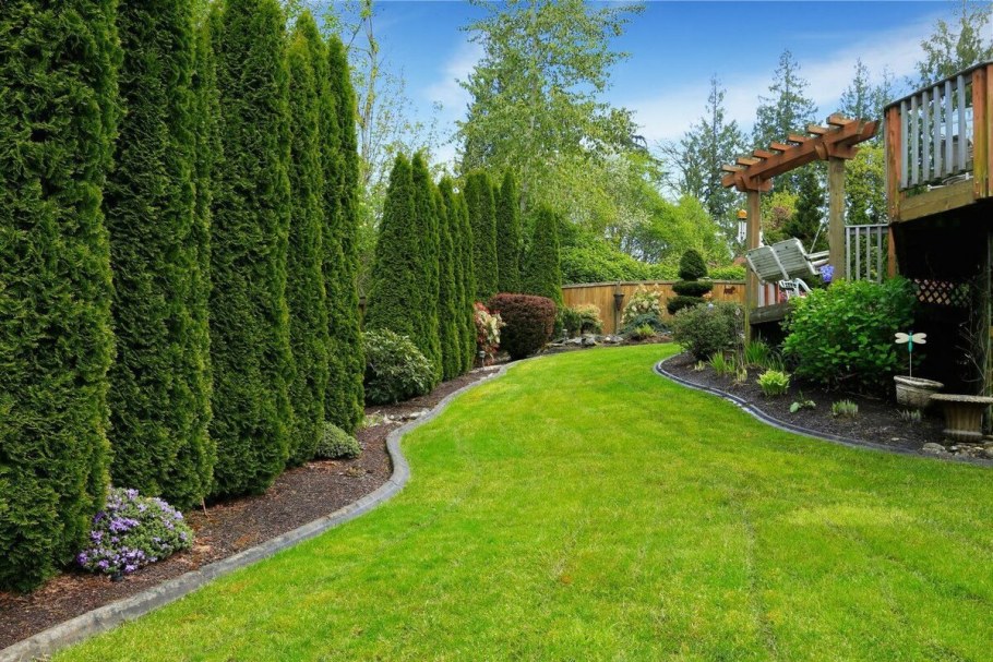 Ландшафт вдоль забора