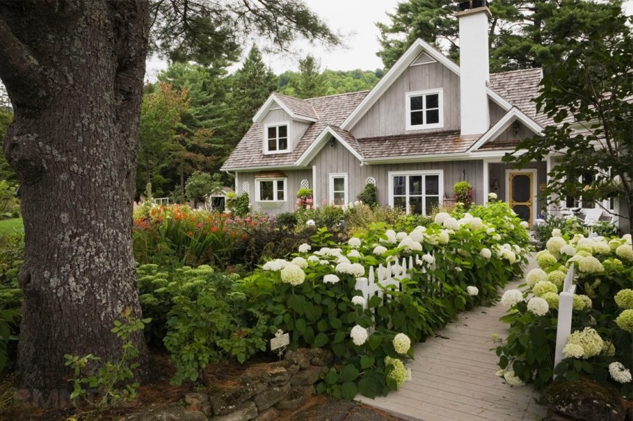 Пион патио в саду