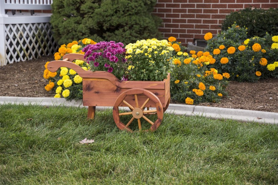 Садовый велосипед для цветов