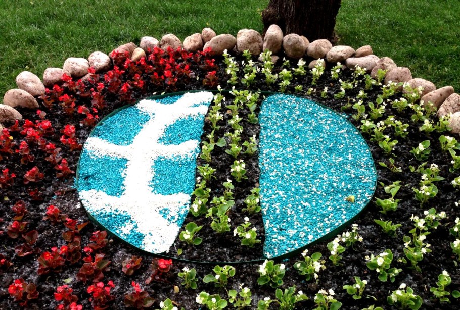 Молодило гипертуф