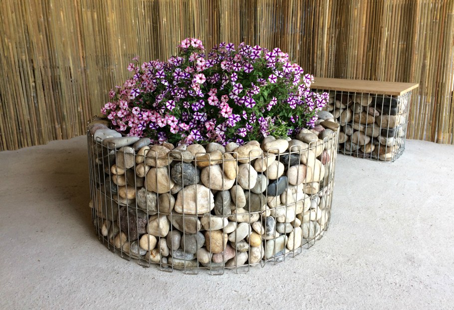 Бордюрные цветы низкорослые портулак