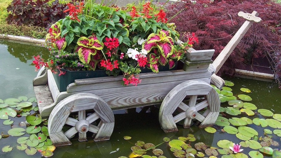 Оригинальные цветники