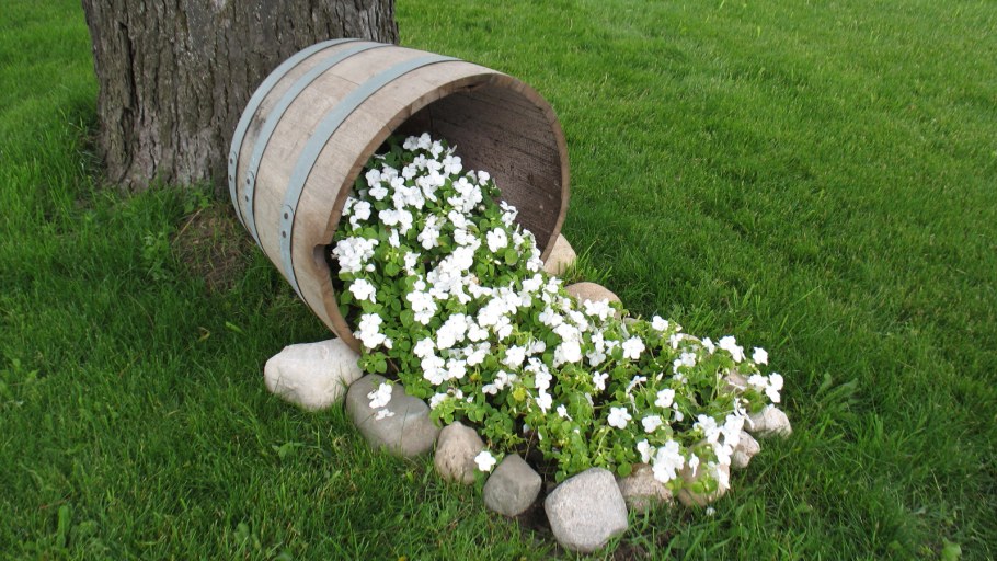 Деревянные клумбы для цветов