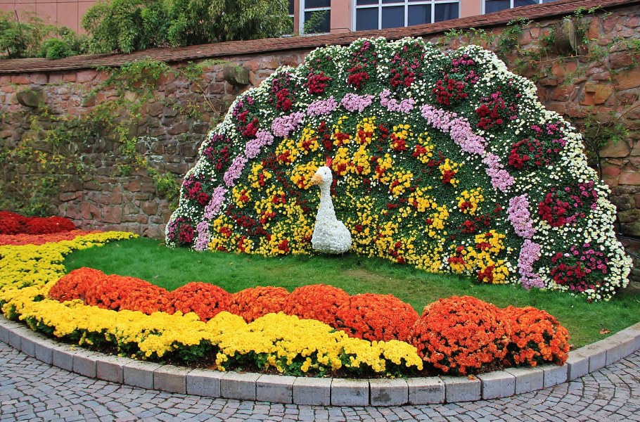 Деревянные клумбы для цветов