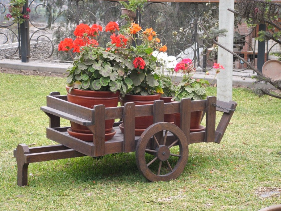 Декоративный огород