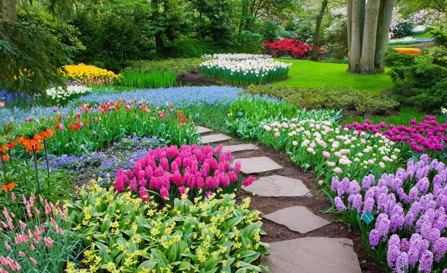 Первоцветы все весной на даче