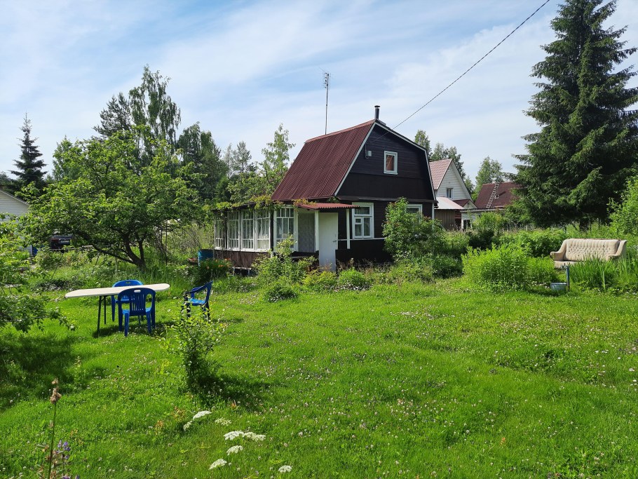 Дима билан Вечерний Ургант