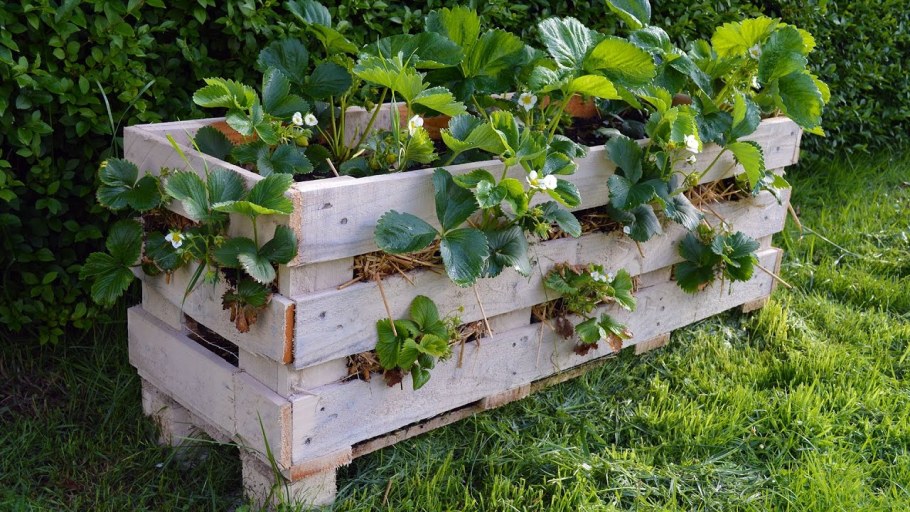 Грядки из поддонов