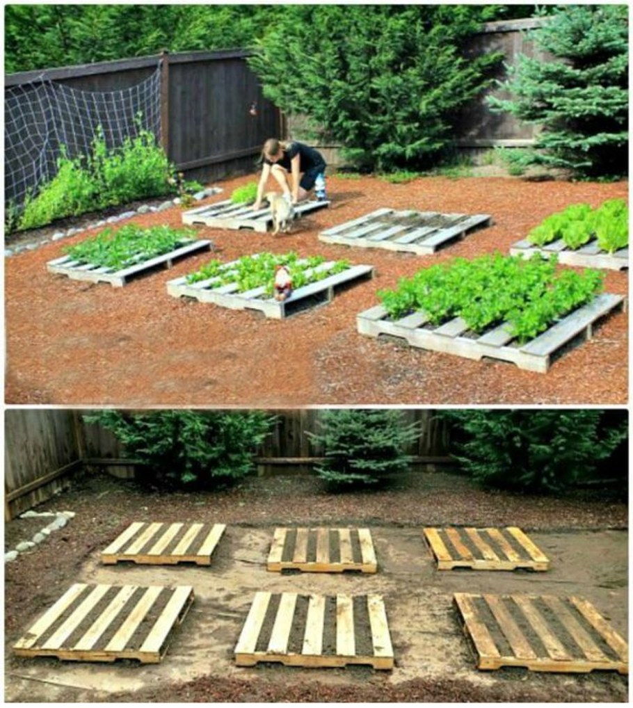Грядки из поддонов