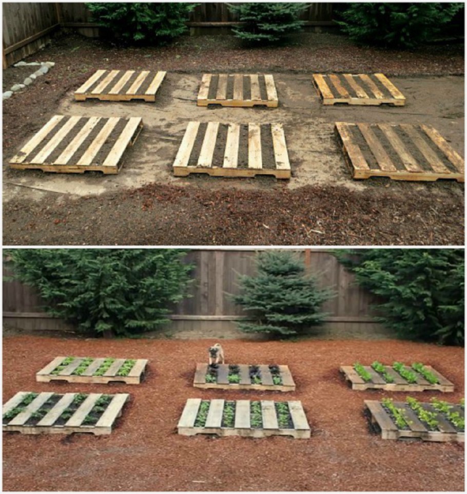 Многоярусные клумбы