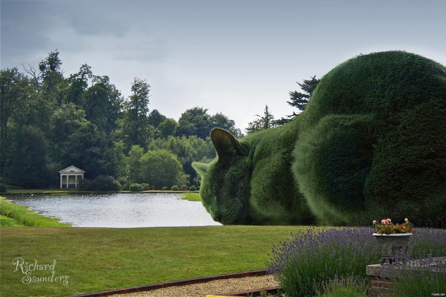 Ричард Сондерс Котокусты