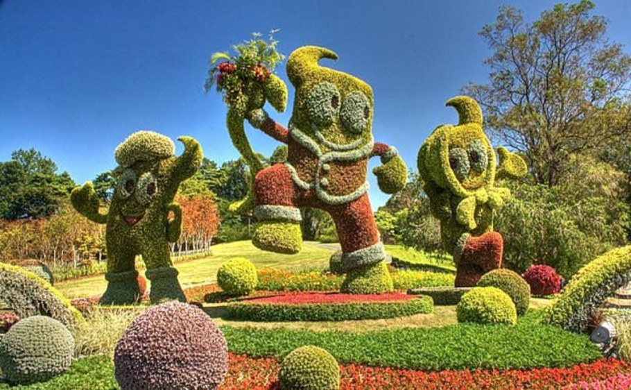 Цветочный парк Хамамацу.Япония