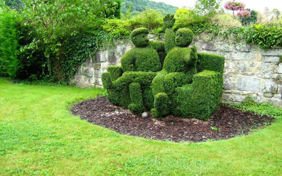 Топиарное искусство самшит