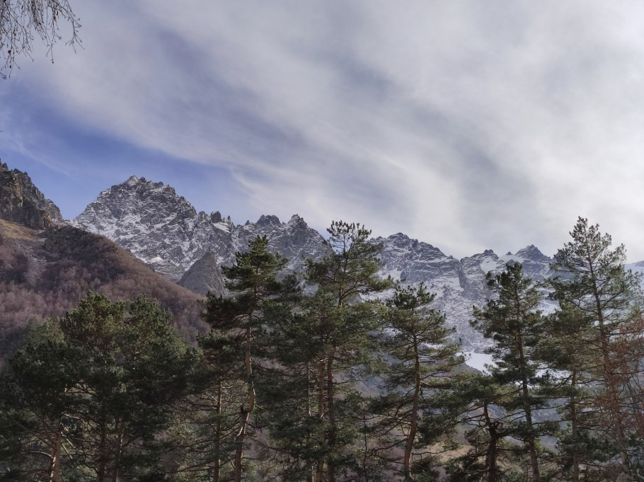 Зеркальный Барс в Фиагдоне