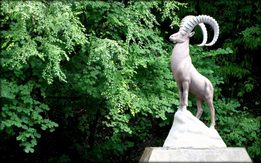 Граффити Ирбис Ирбис Йошкар-Ола