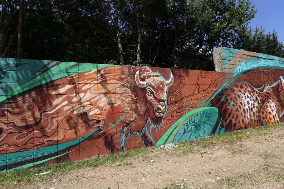 Зеркальный Барс в Фиагдоне