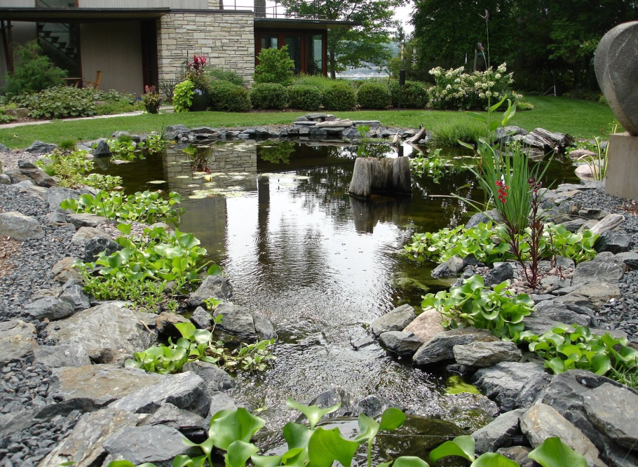 Естественный водоем на участке