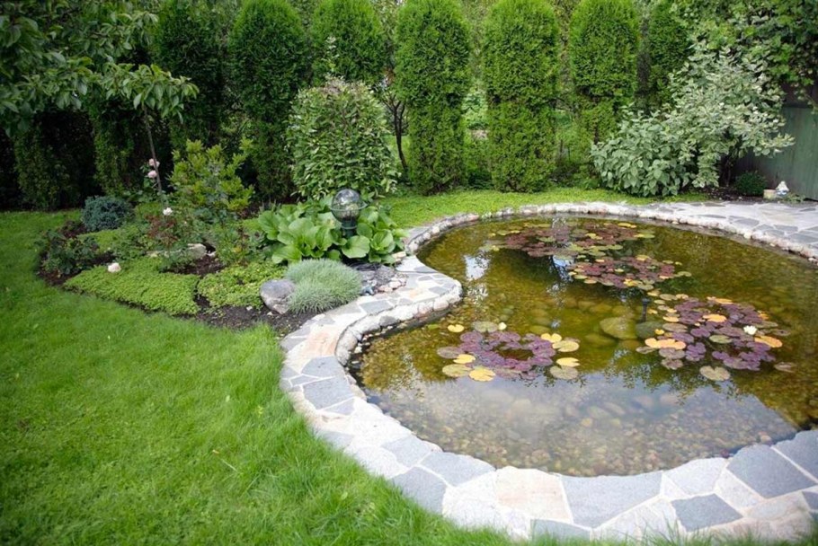 Огородный прудик