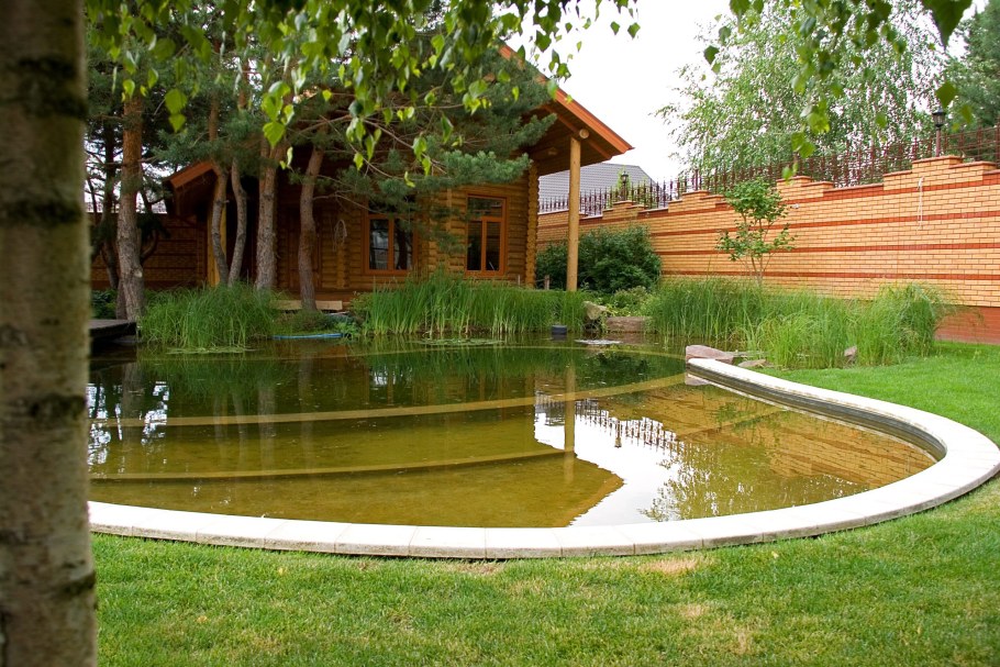 Пруд для купания на участке