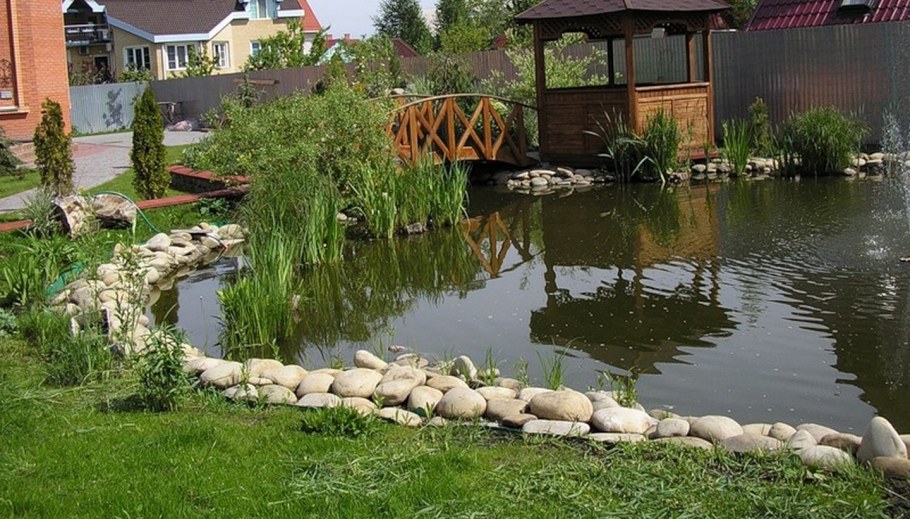 Пруд на участке