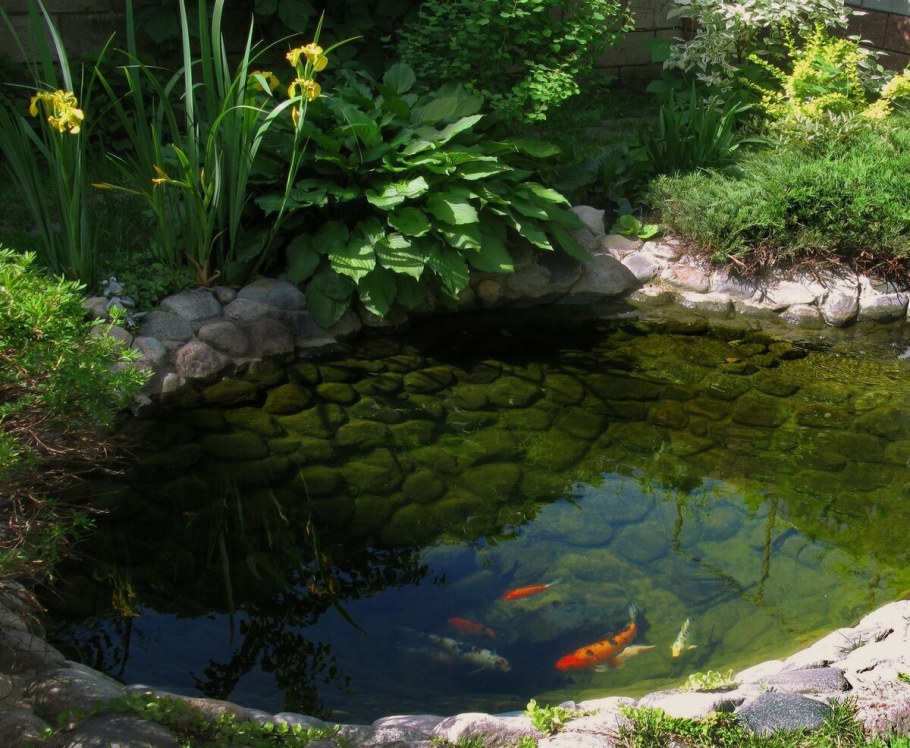 Искусственный пруд