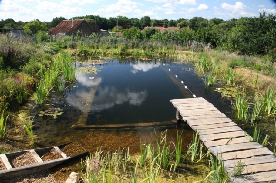Пруд копанка для разведения рыбы