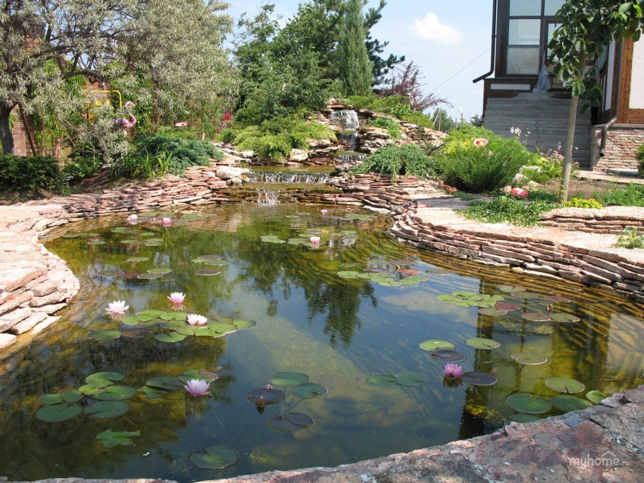 Водоем на дачном участке