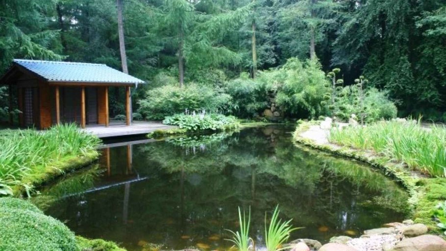 Огромный пруд на участке